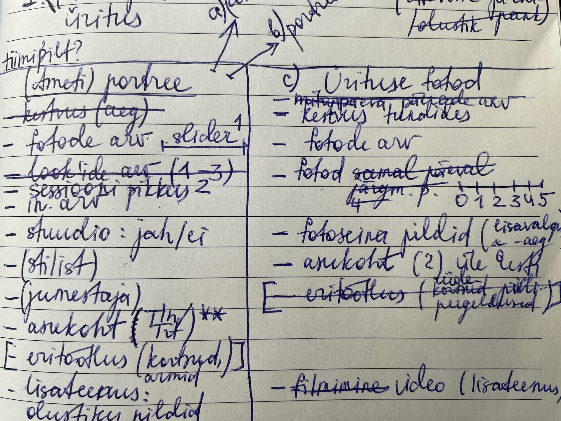 Planning notes from meetings with Mailis